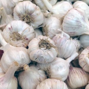 Messidor garlic sets organic 35mm+