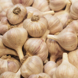 Vallelado garlic sets organic 35mm+